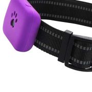 Collar GPS para Mascotas
